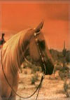 The Western Horse WebRing